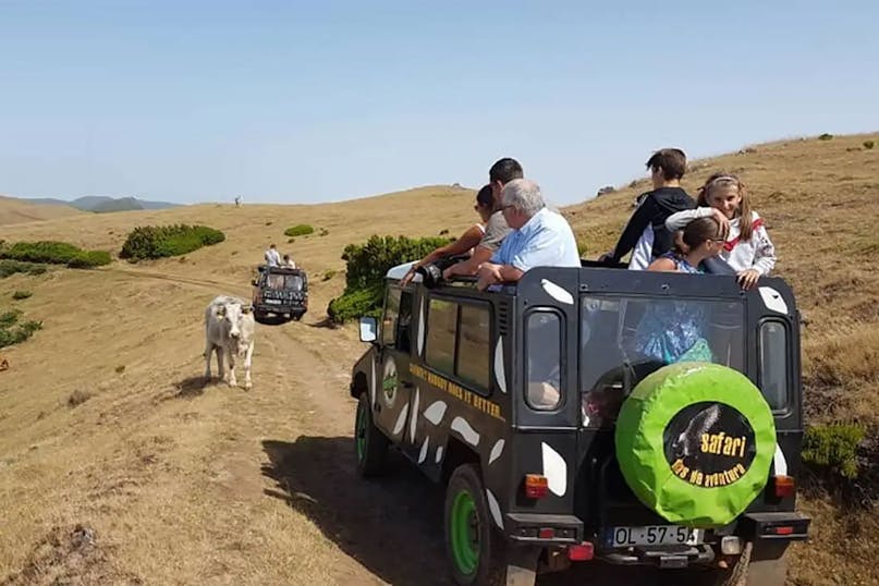 Safari Madeira - Off-Road Tours in Madeira